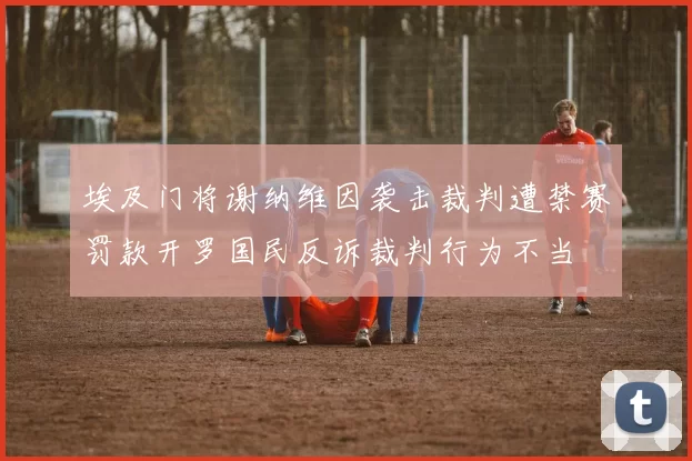 埃及门将谢纳维因袭击裁判遭禁赛罚款开罗国民反诉裁判行为不当